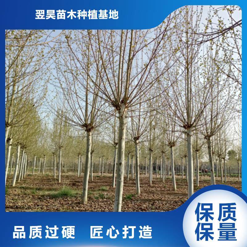 法桐精工制作