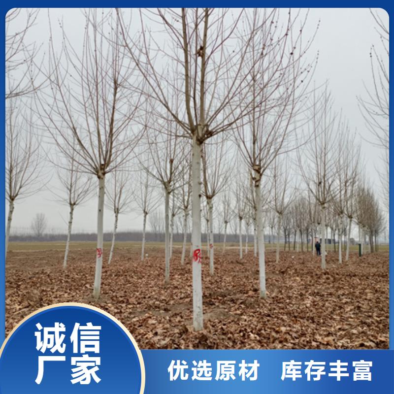 法桐精工制作