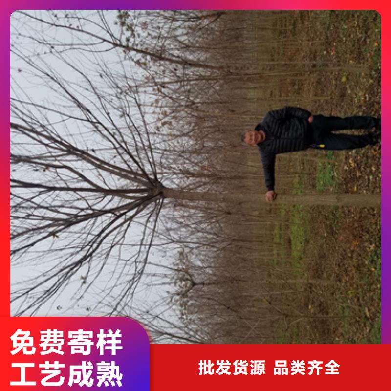 法桐白蜡快捷的物流配送
