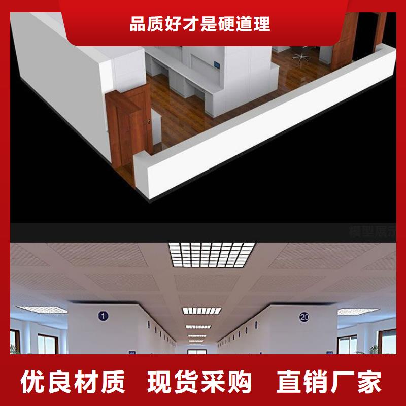 【选层柜档案柜厂家生产型】