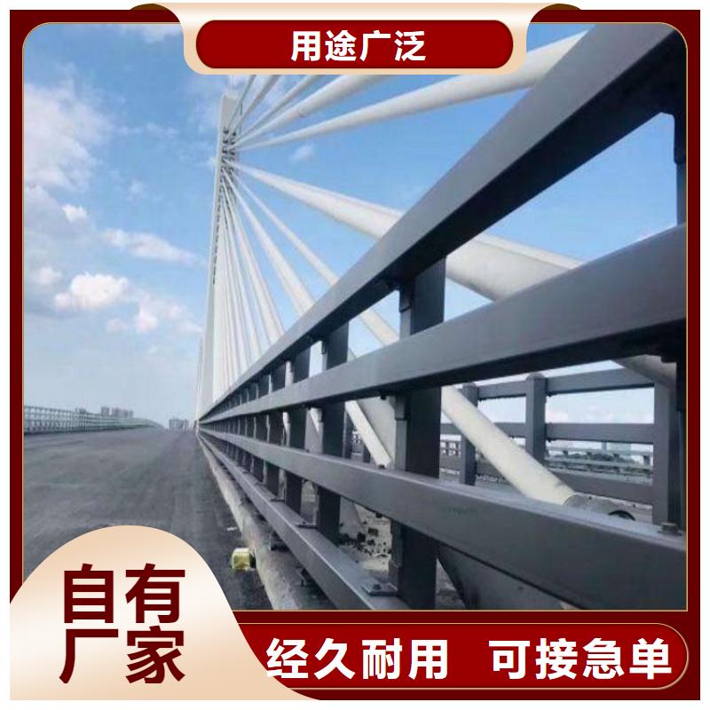河道护栏,道路隔离栏专心专注专业