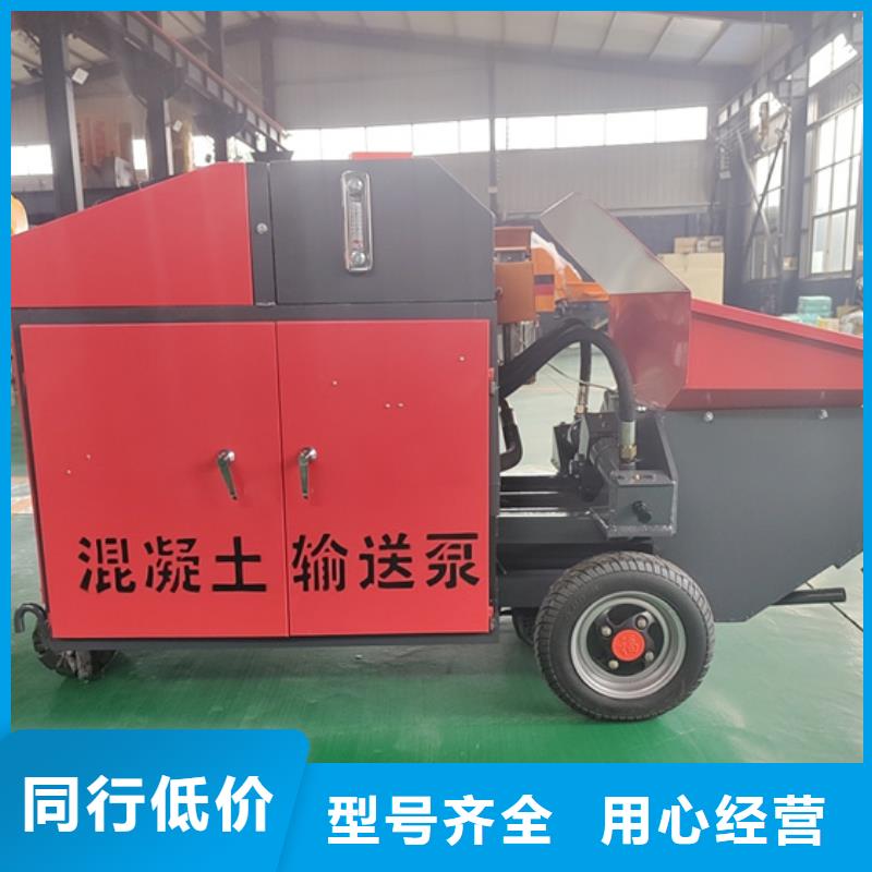 二次构造柱泵小型水泥上料机性能稳定