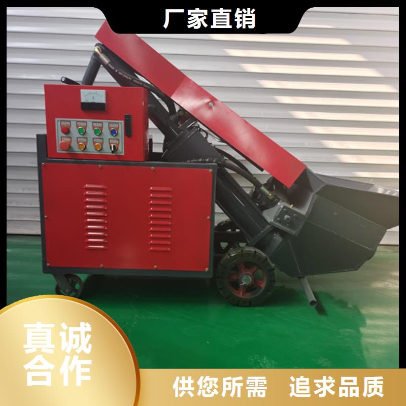 【二次构造柱泵】小型二次构造柱泵出厂严格质检