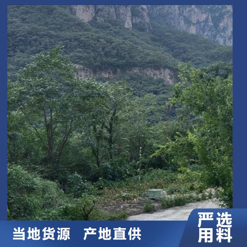 小型混凝土泵,混凝土泵厂家直营