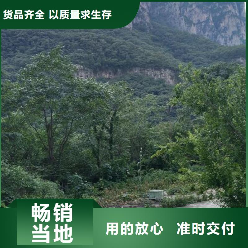 小型混凝土泵混凝土泵实拍品质保障