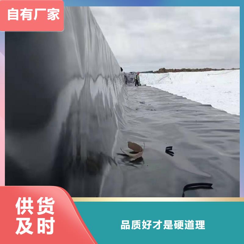 土工膜_塑料土工格栅制造厂家