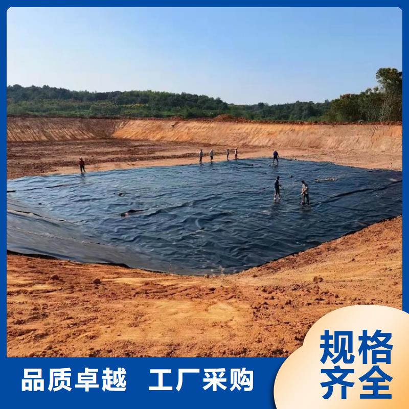 土工膜-钢塑土工格栅库存丰富