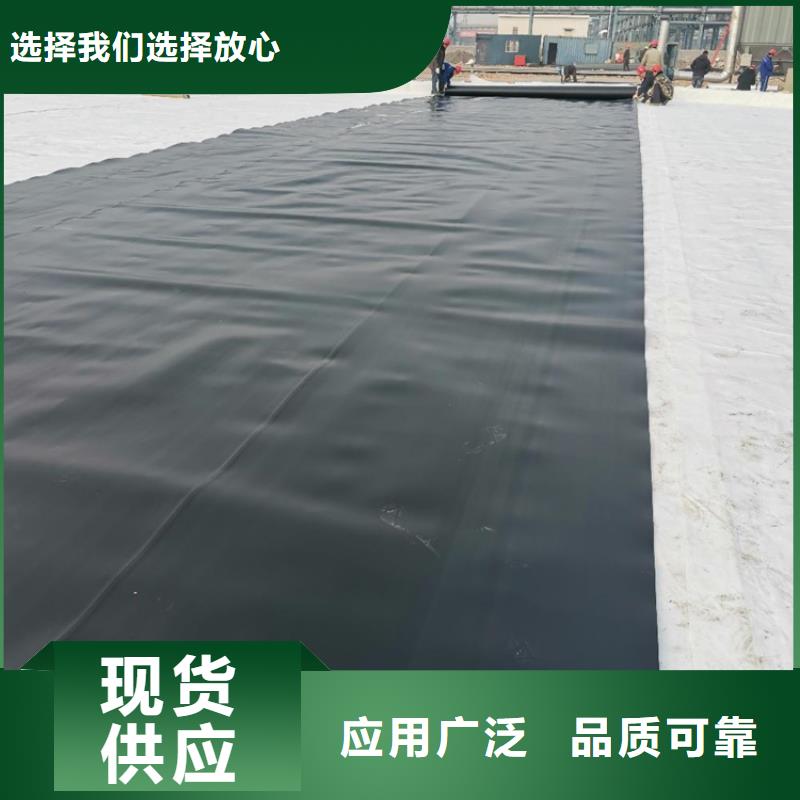 土工膜双向塑料土工格栅专注产品质量与服务