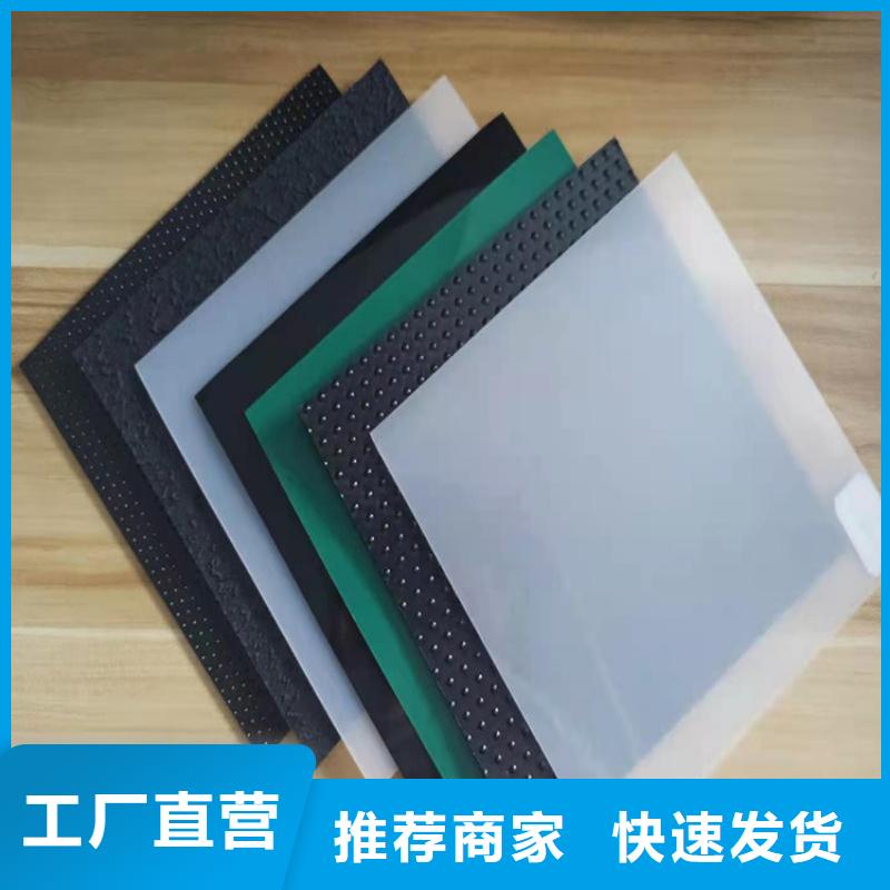 土工膜双向塑料土工格栅专业生产品质保证