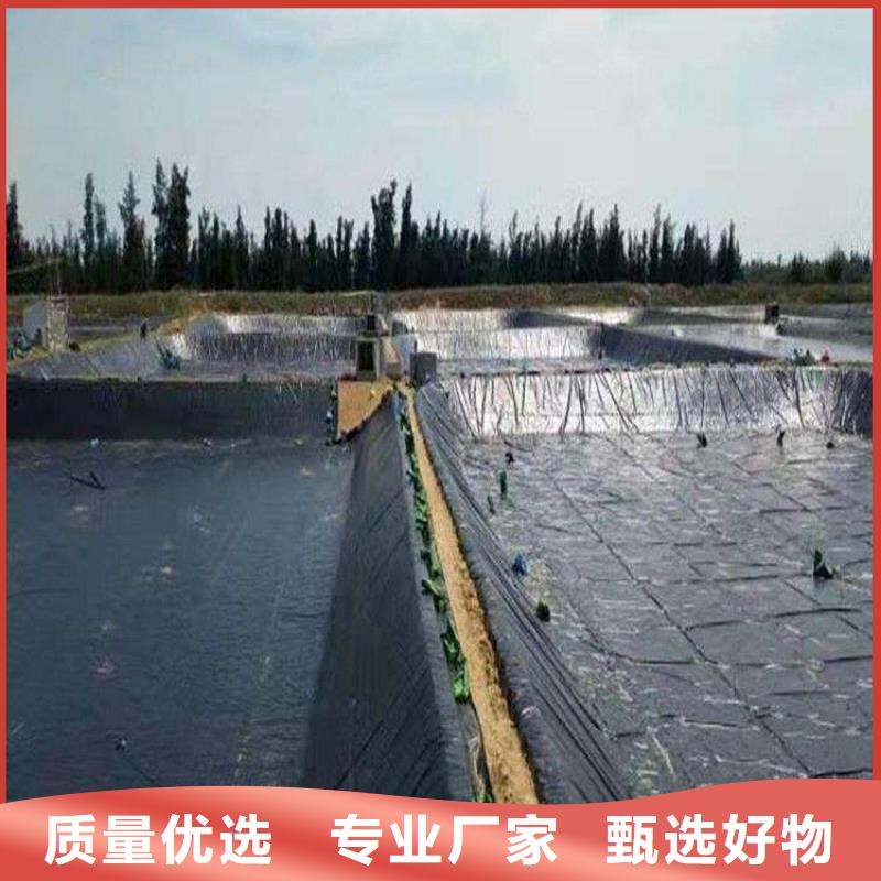 土工膜【双向塑料土工格栅】用心做品质