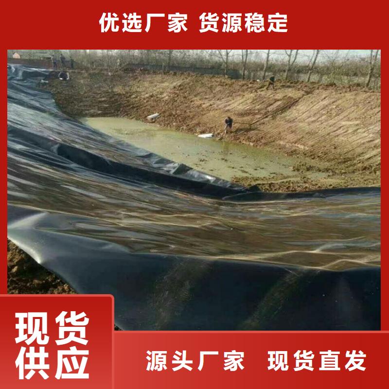 土工膜双向塑料土工格栅专业生产品质保证