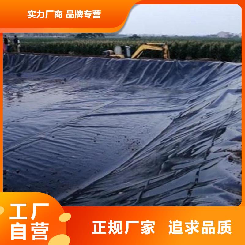土工膜,塑料格栅支持大批量采购