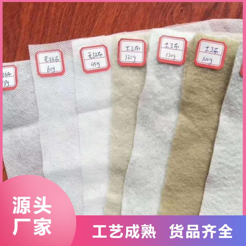 土工布拉筋带专业厂家