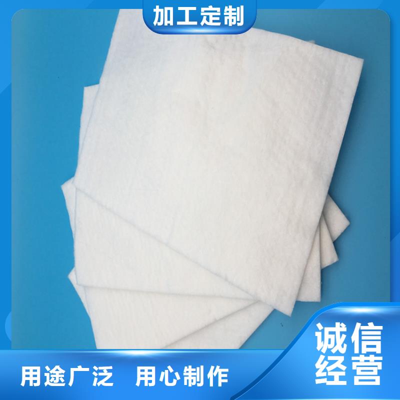 土工布双向土工格栅产地货源