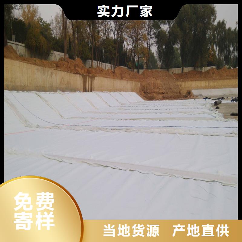 土工布双向土工格栅产地货源
