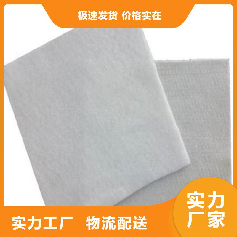 土工布拉筋带专业厂家