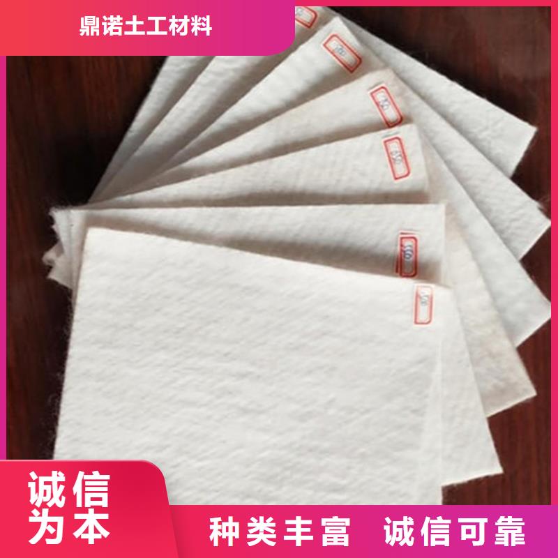 【土工布植草格高标准高品质】
