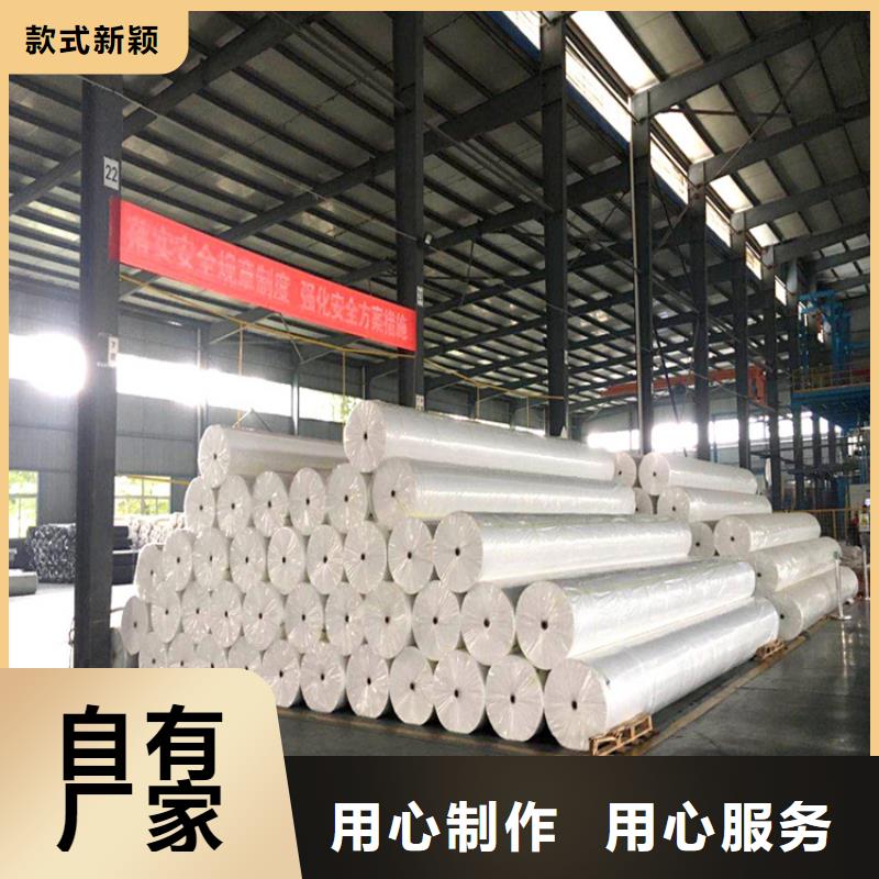 土工布拉筋带专业厂家