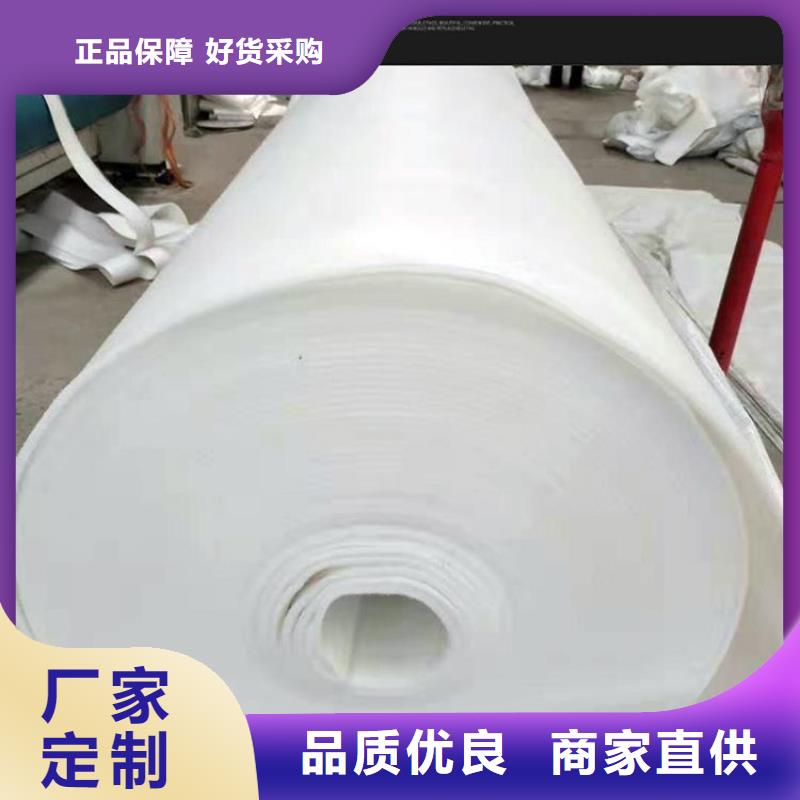 土工布玻璃纤维土工格栅货源充足