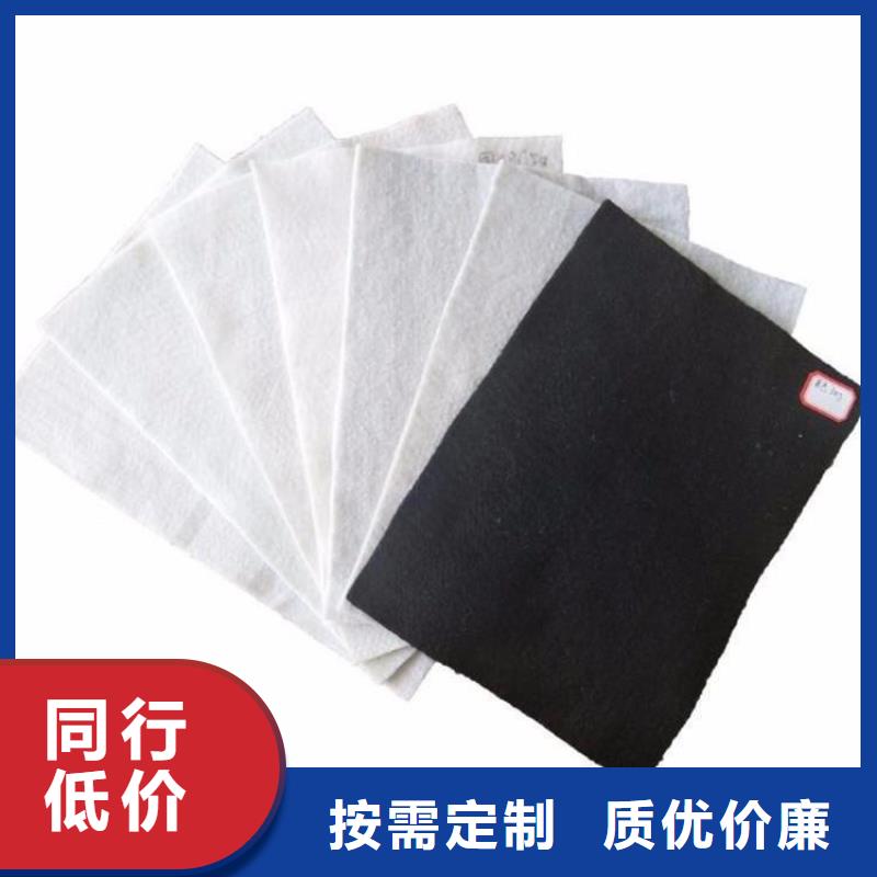 土工布双向土工格栅产地货源