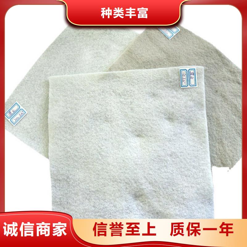 土工布土工格栅有实力有经验
