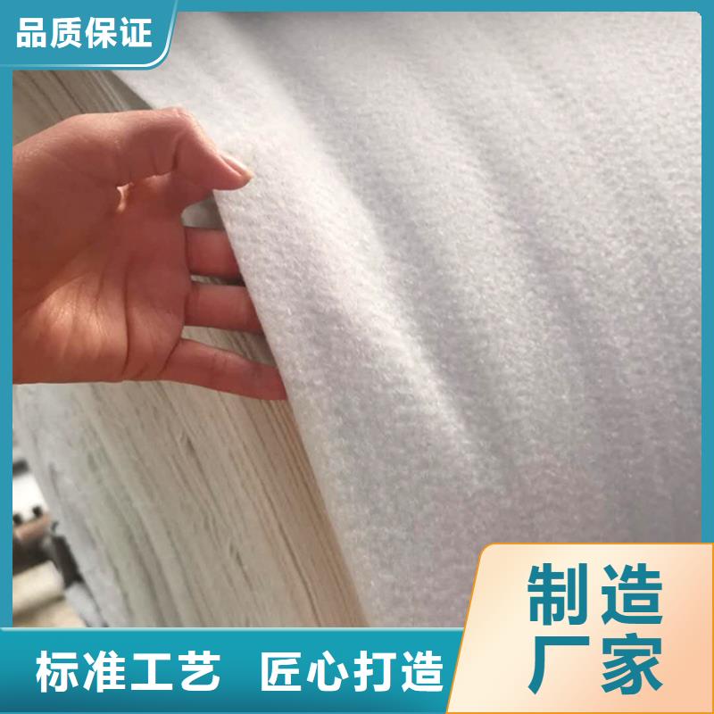 土工布,钢塑土工格栅准时交付