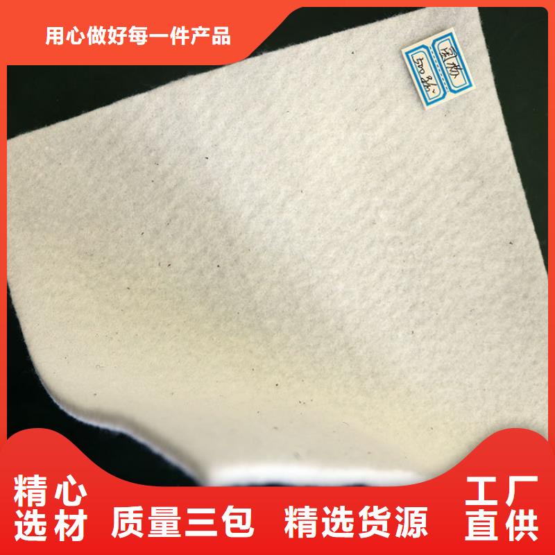 土工布玻璃纤维土工格栅货源充足