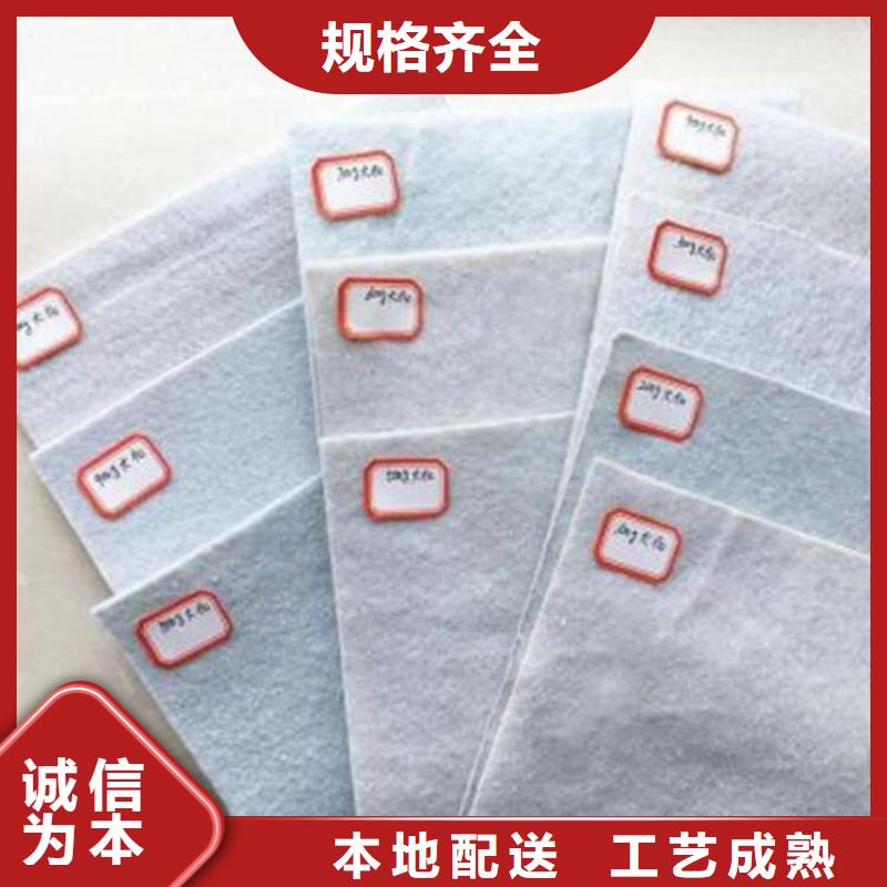 土工布,钢塑土工格栅准时交付
