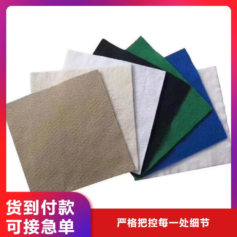 土工布塑料土工格栅生产加工