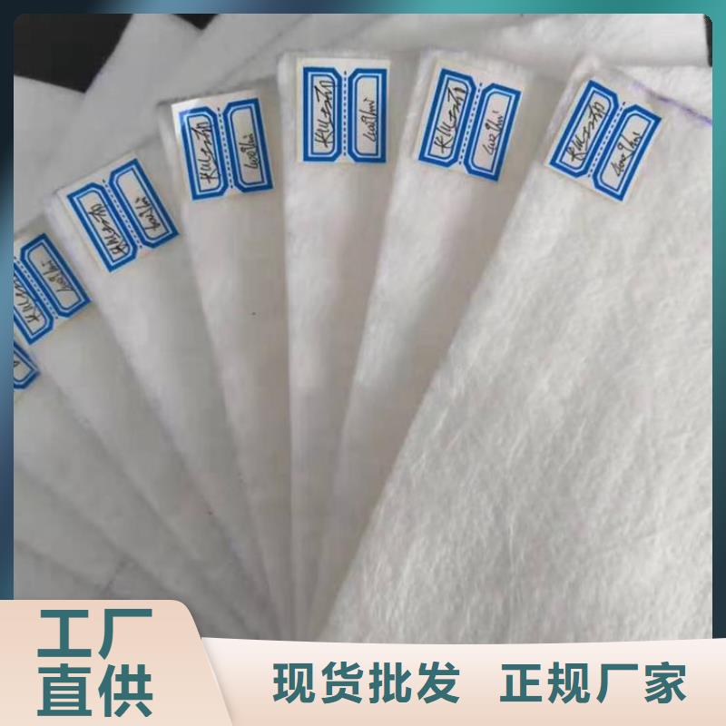 土工布双向土工格栅产地货源