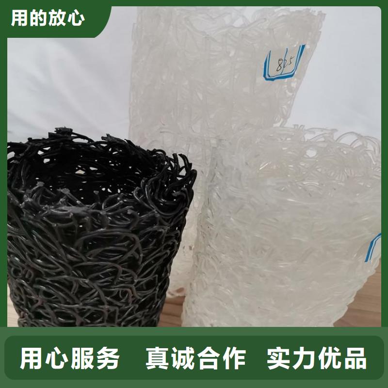 塑料盲沟钢塑土工格栅实体厂家大量现货