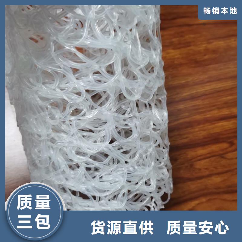 塑料盲沟双向塑料土工格栅高质量高信誉