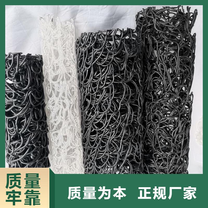 塑料盲沟土工网垫出厂严格质检