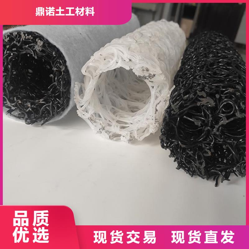 塑料盲沟双向塑料土工格栅高质量高信誉