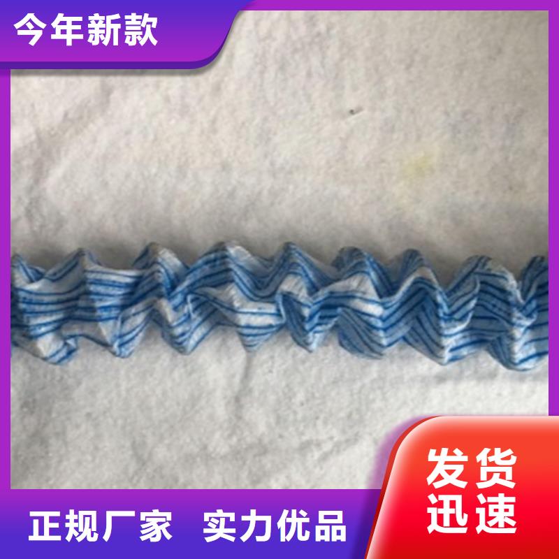 软式透水管【双向土工格栅】应用领域