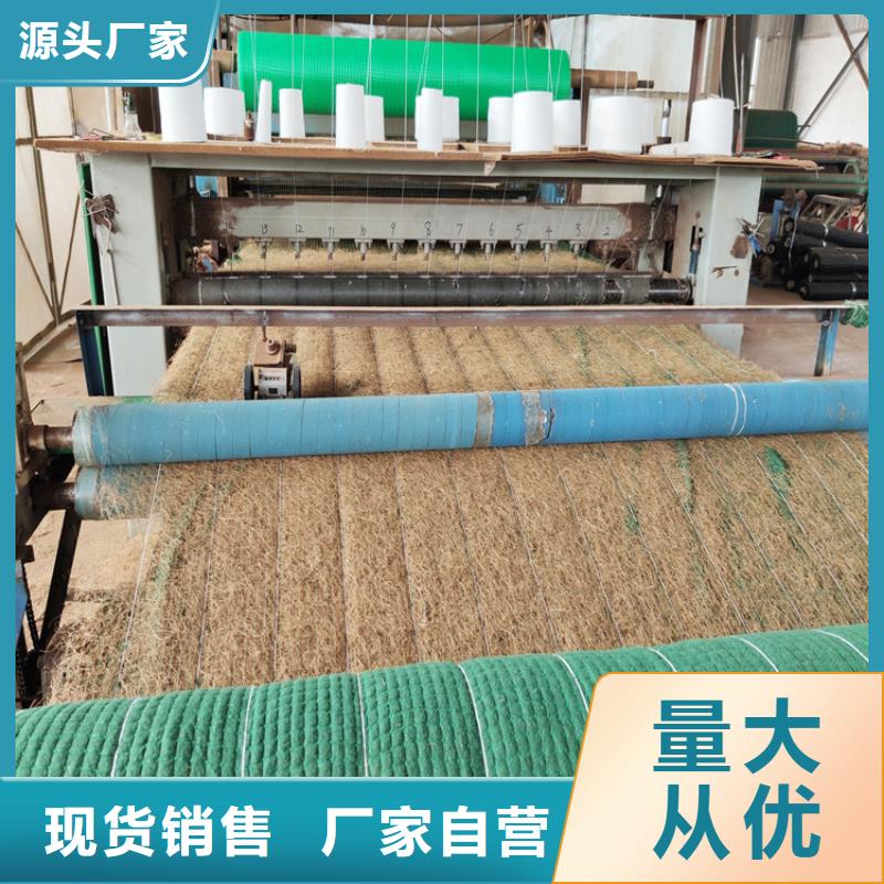 椰丝毯【蓄水板】厂家实力雄厚