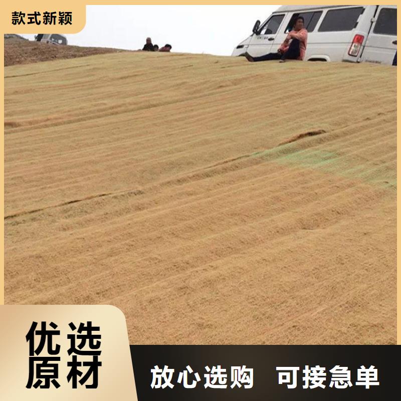 椰丝毯土工格栅欢迎来电咨询