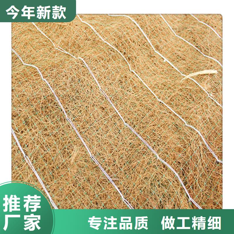 椰丝毯【蓄水板】厂家实力雄厚