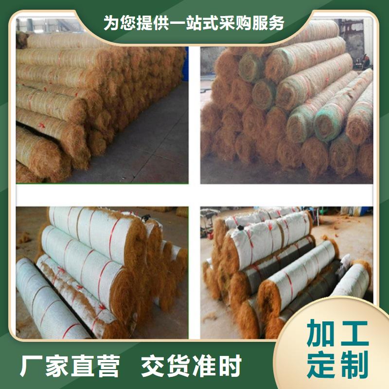 椰丝毯【蓄水板】厂家实力雄厚