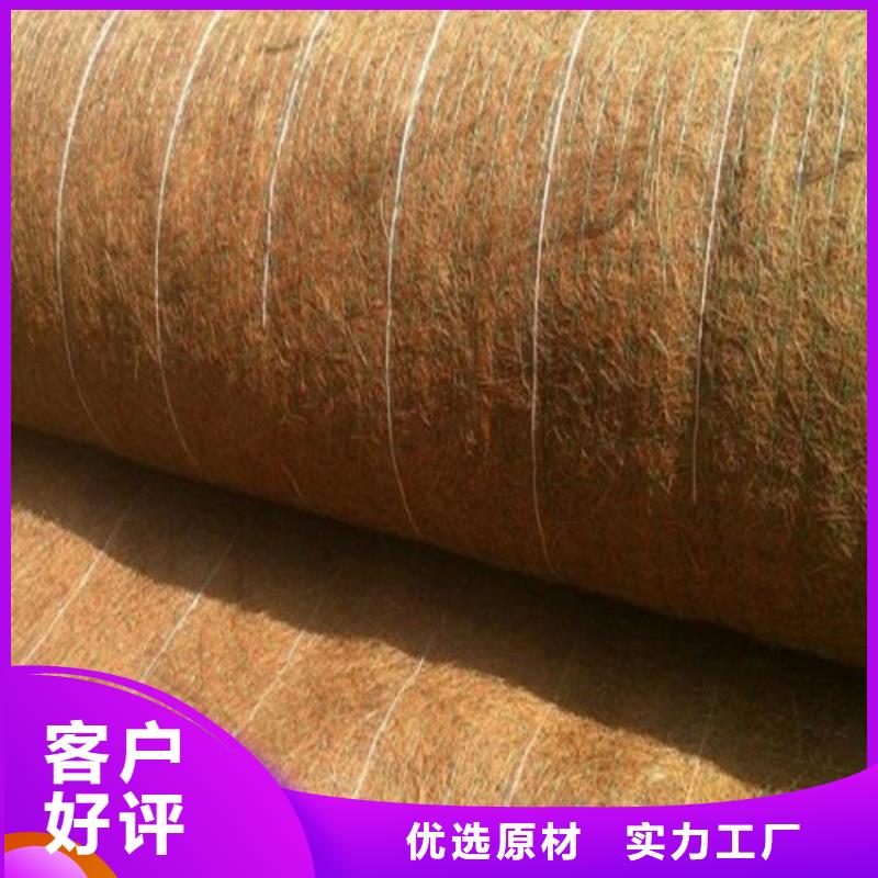 椰丝毯钢塑土工格栅现货交易