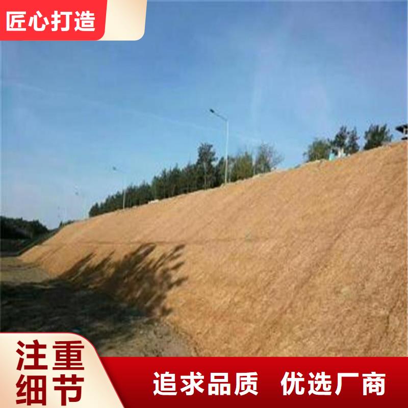 椰丝毯-蓄水板工厂现货供应