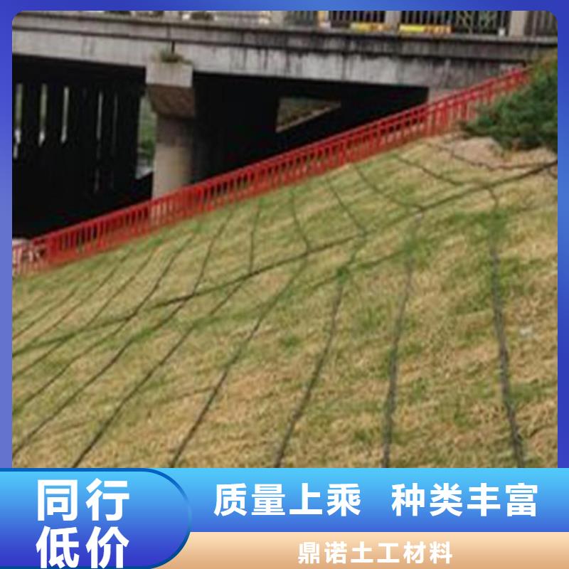 椰丝毯土工格栅应用领域