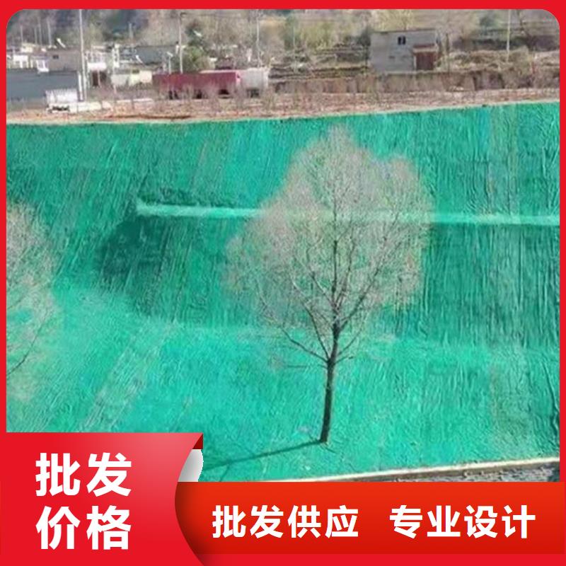 椰丝毯HDPE土工膜订购