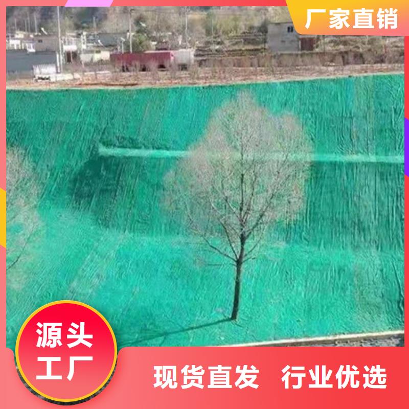 椰丝毯土工格栅欢迎来电咨询