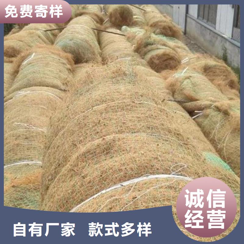 椰丝毯【蓄水板】厂家实力雄厚