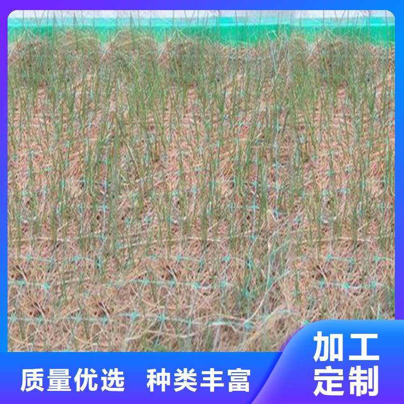 椰丝毯硬式透水管专业完善售后