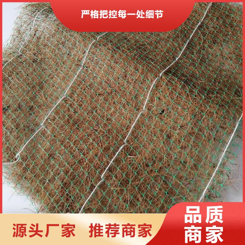 椰丝毯【蓄水板】厂家实力雄厚