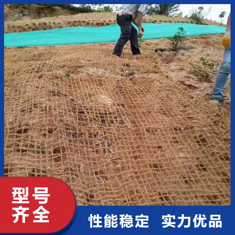椰丝毯,【土工膜】专业品质