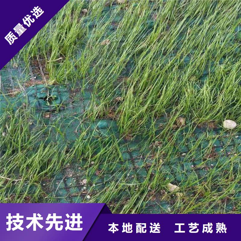 椰丝毯【蓄水板】厂家实力雄厚
