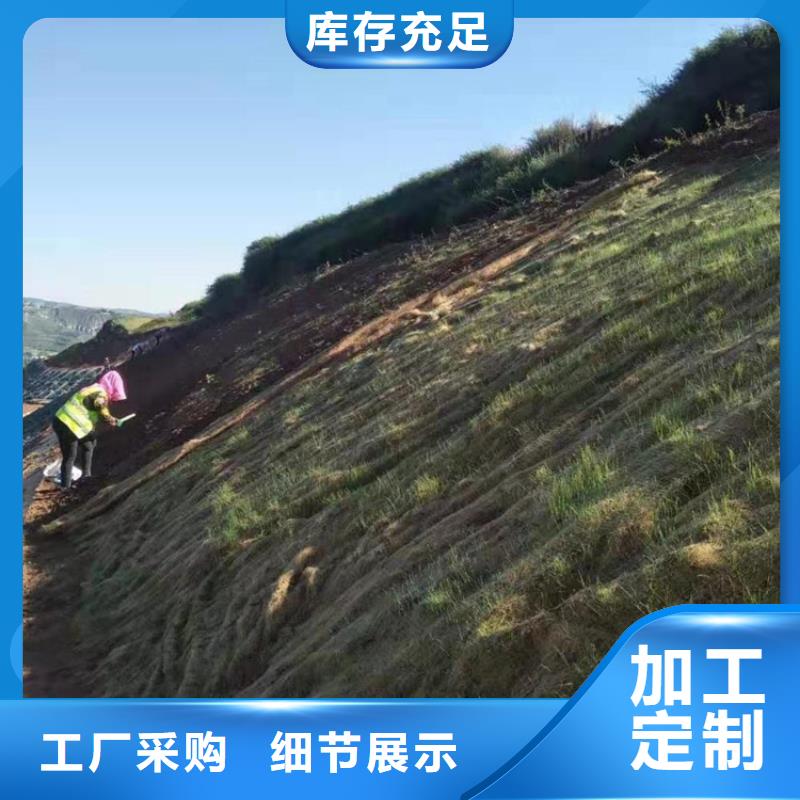 椰丝毯钢塑土工格栅现货交易